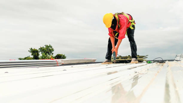 Best Gutter Replacement  in Burlington, CO