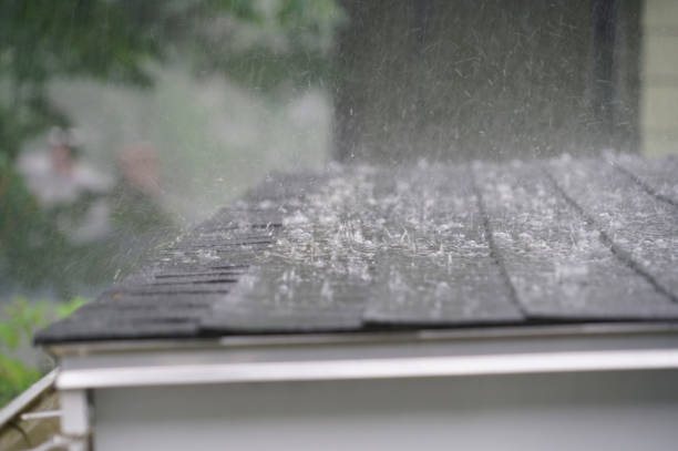 Best Roof Coating and Sealing  in Burlington, CO