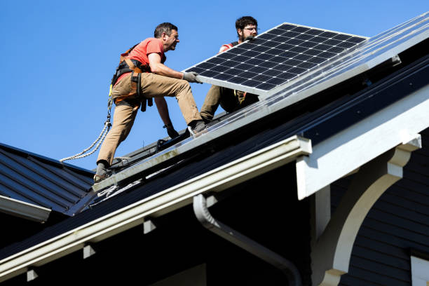 Best Roof Moss and Algae Removal  in Burlington, CO