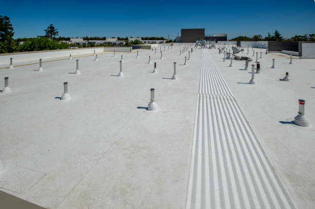 Best Asphalt Shingle Roofing  in Burlington, CO